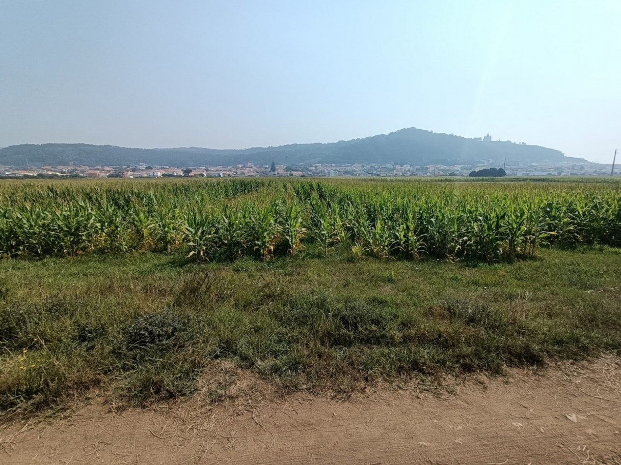 fef64f6c-b7ab-4728-8314-777d52f556b0jpeg