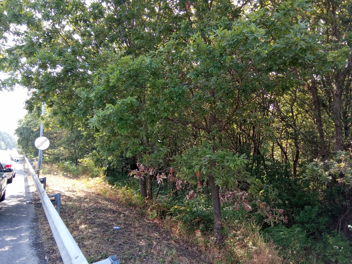 img-20250618-103718jpg