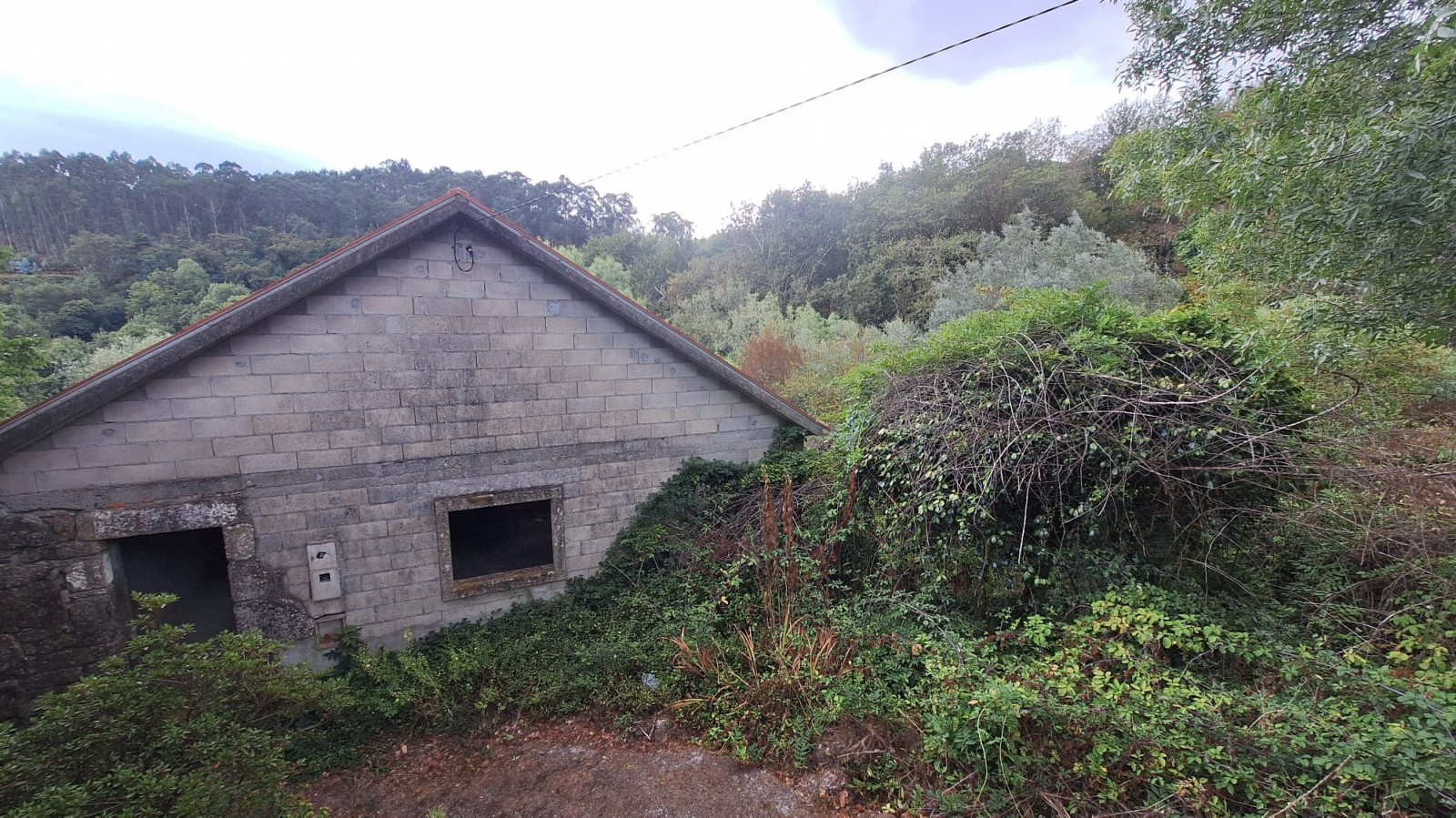 img-20250831-wa0004jpg