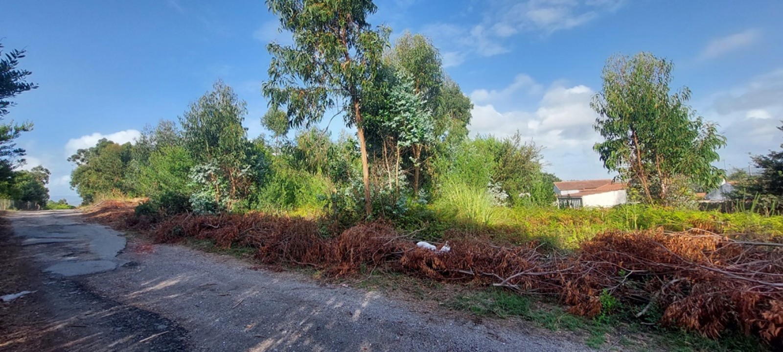 20250903-175523jpg