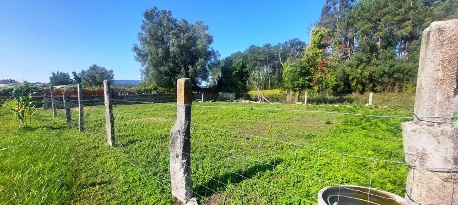 20250905-104252jpg