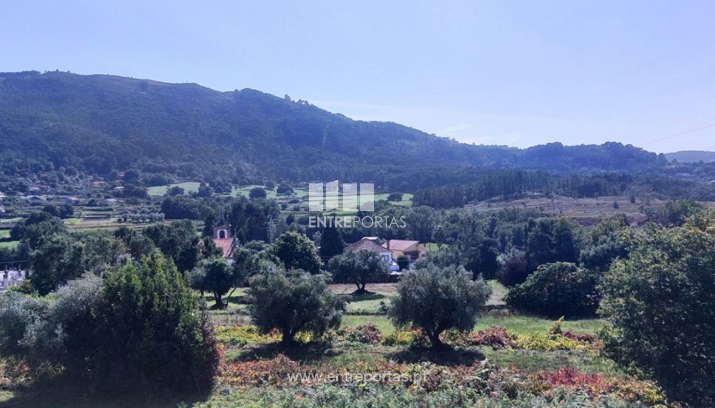 House in Viana do Castelo - Image 3