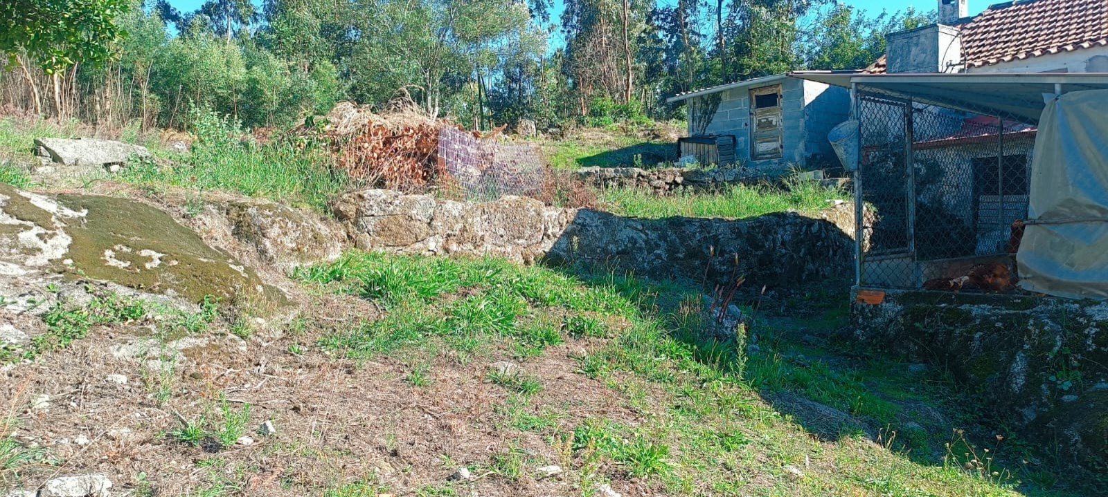 img-20250926-wa0020jpg