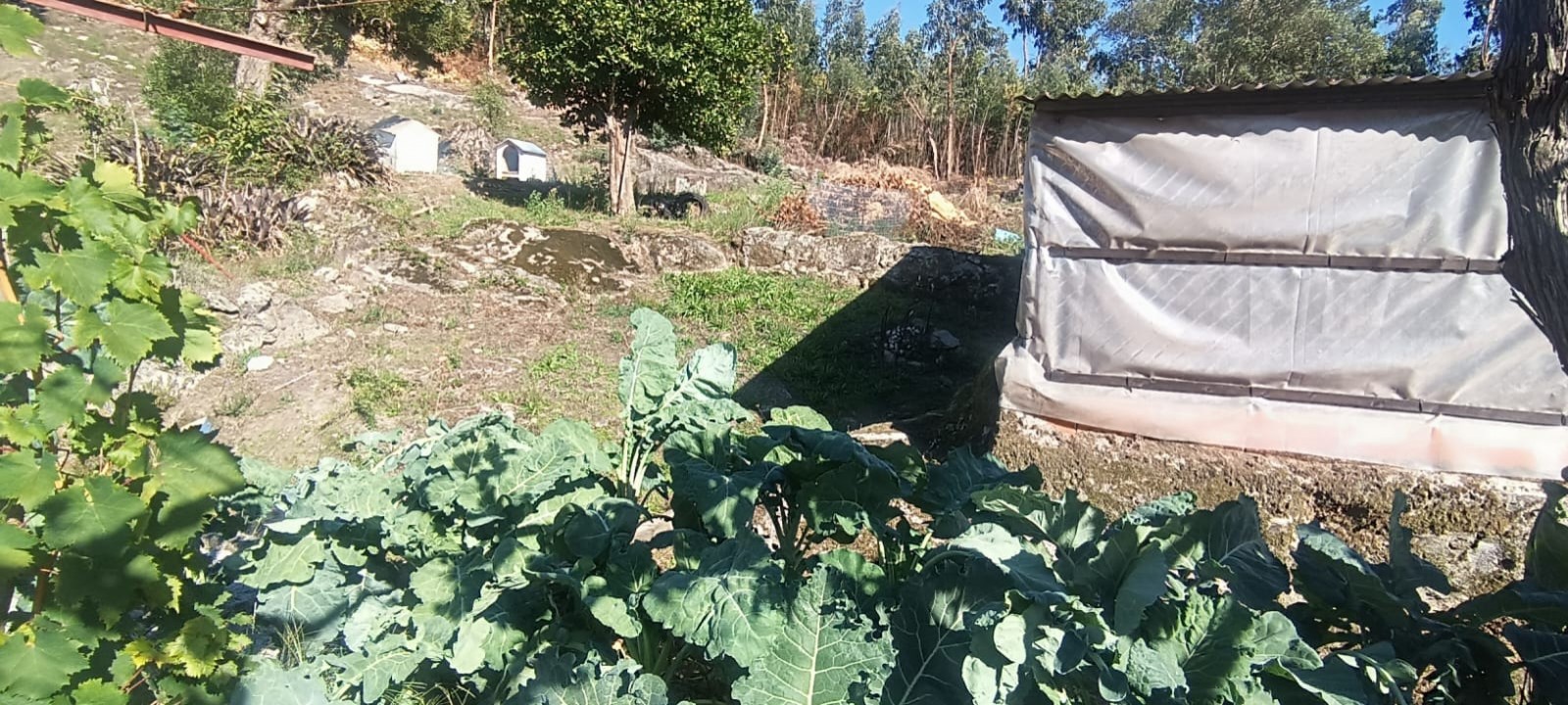 img-20250926-wa0025jpg