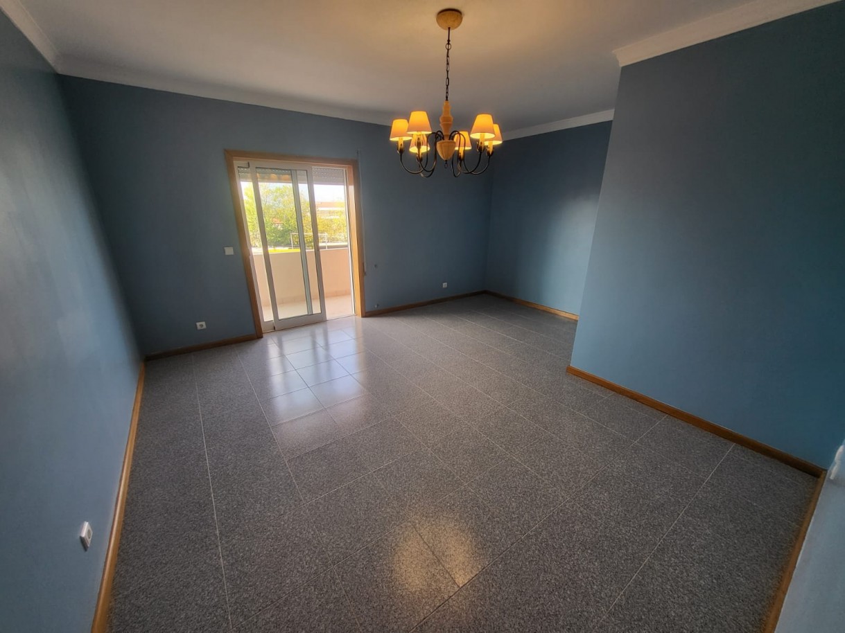 8bd8848b-e5e5-45be-afa8-e858a20a55fajpeg