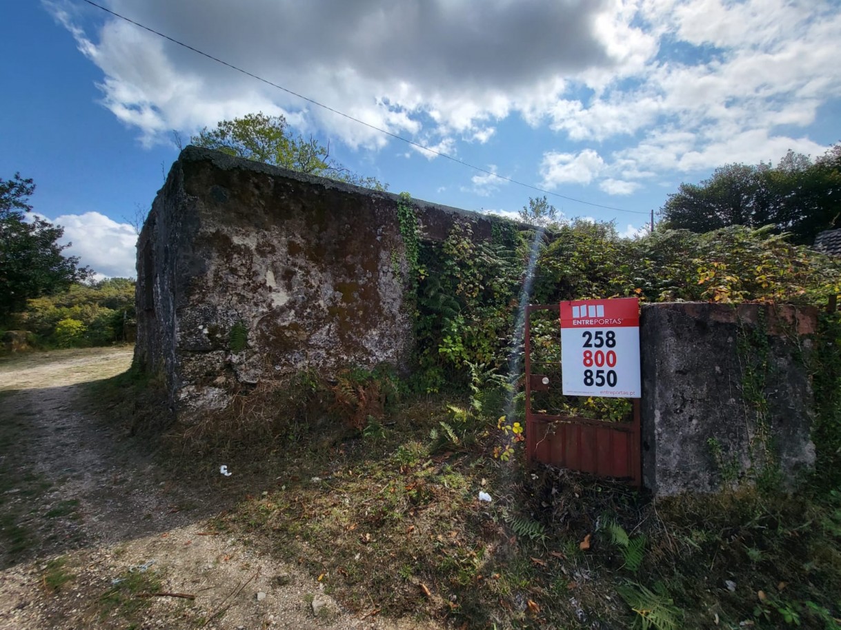 0d2c164c-90ac-4bbc-9fdd-6a54ab3da5a2jpeg