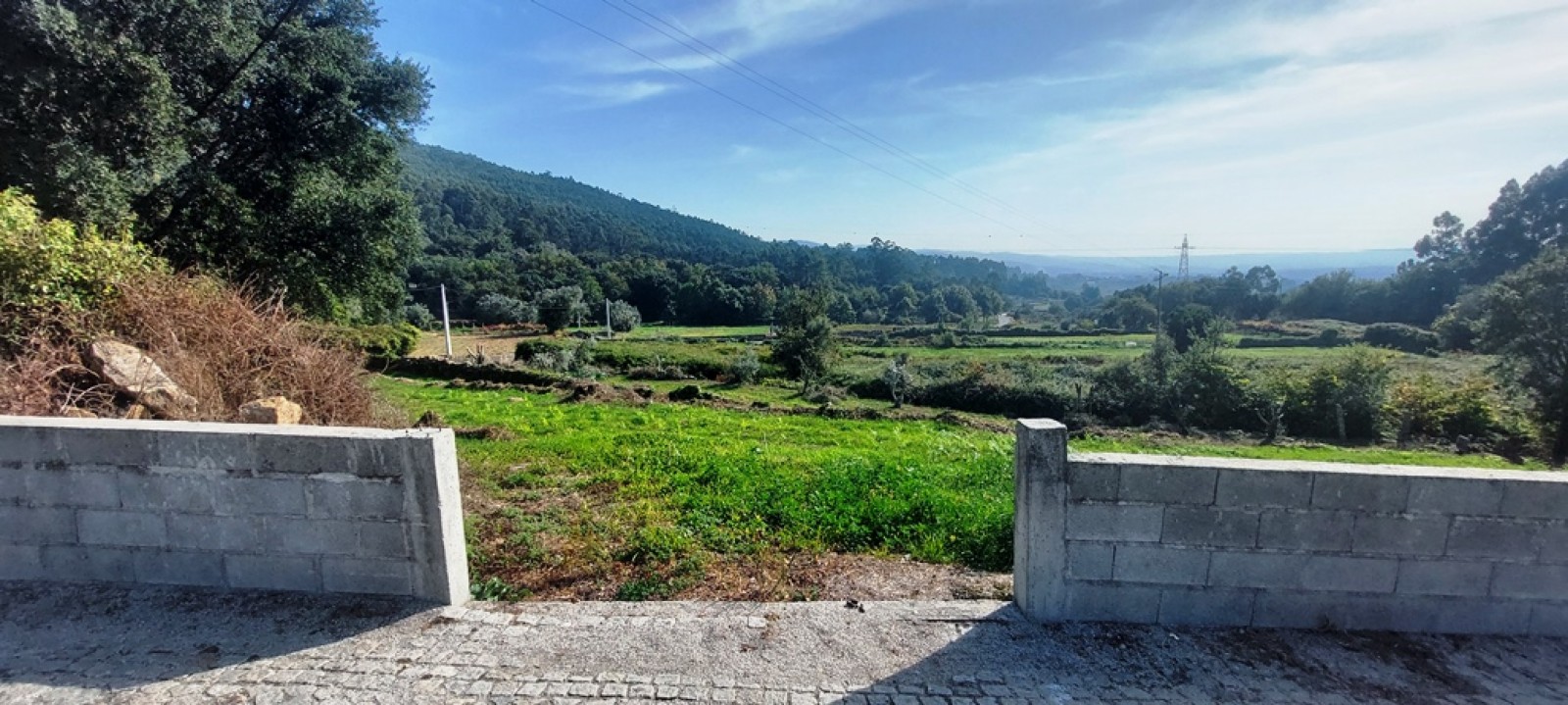 4f9be960-13e1-4c09-bbf0-98c4e385e492jpeg