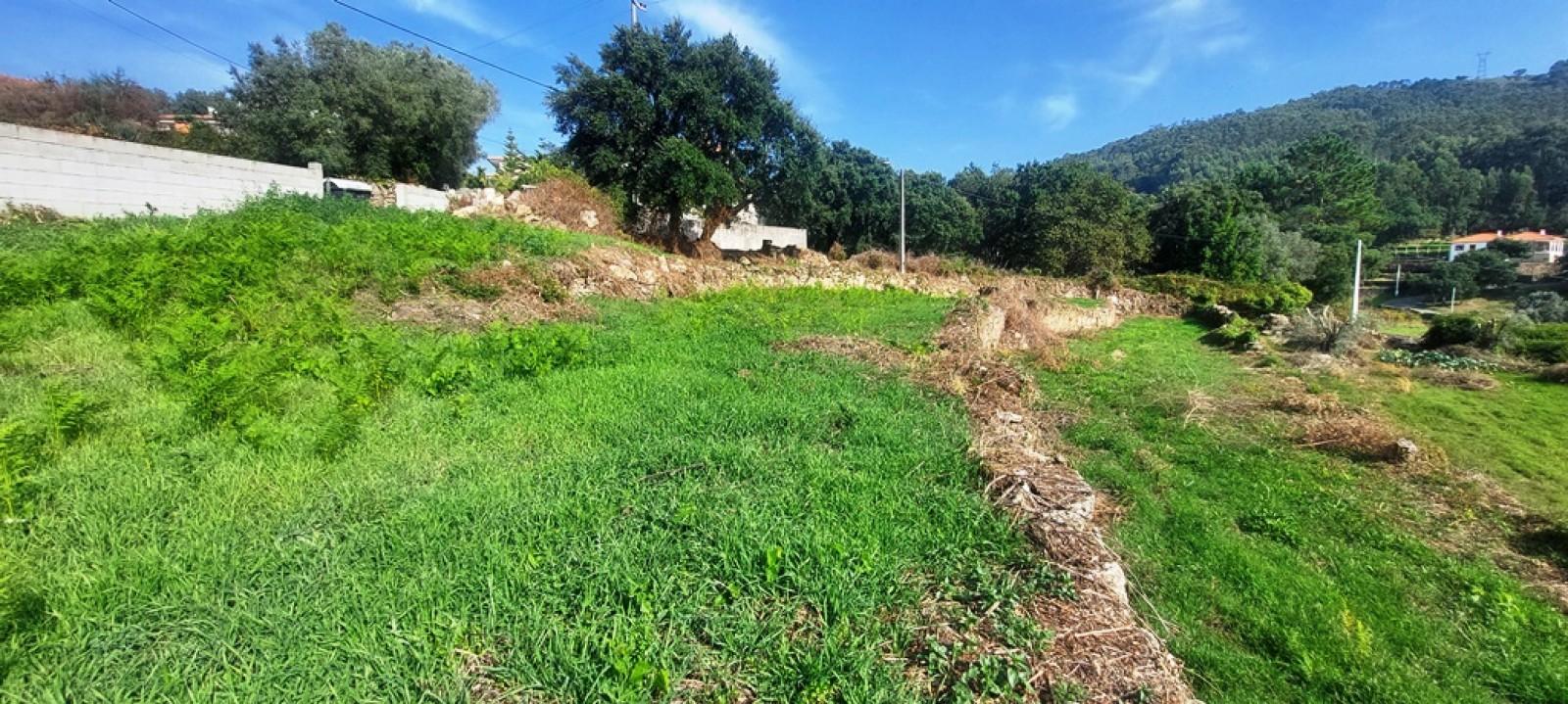 31b57c3d-2e69-4140-82c8-6112e906d13ajpeg