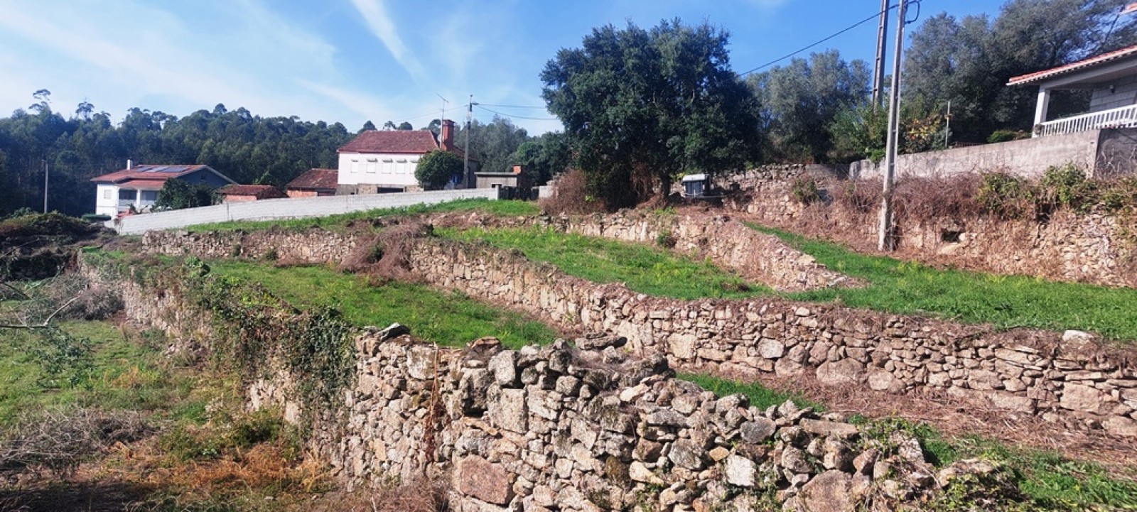 50a9eeb6-dab6-4cb6-a284-de9511a3a02bjpeg