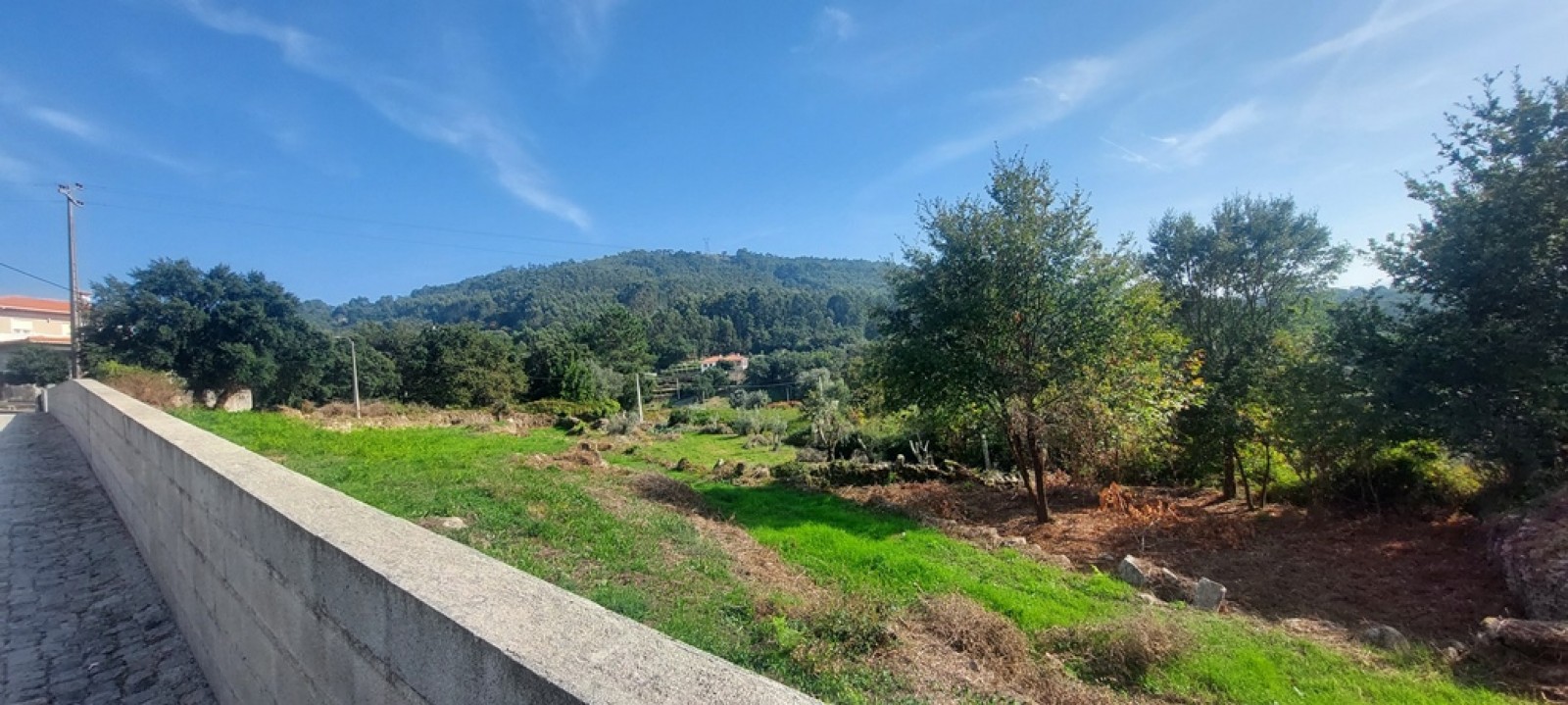 515c6de8-6919-46f8-93f1-867c4b674fd2jpeg