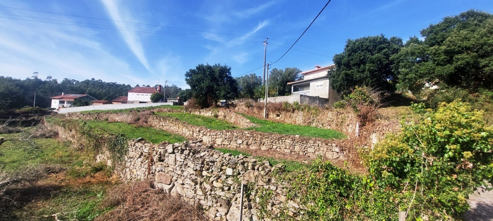 787b25d8-5943-433e-8ac6-ae87efb45110jpeg