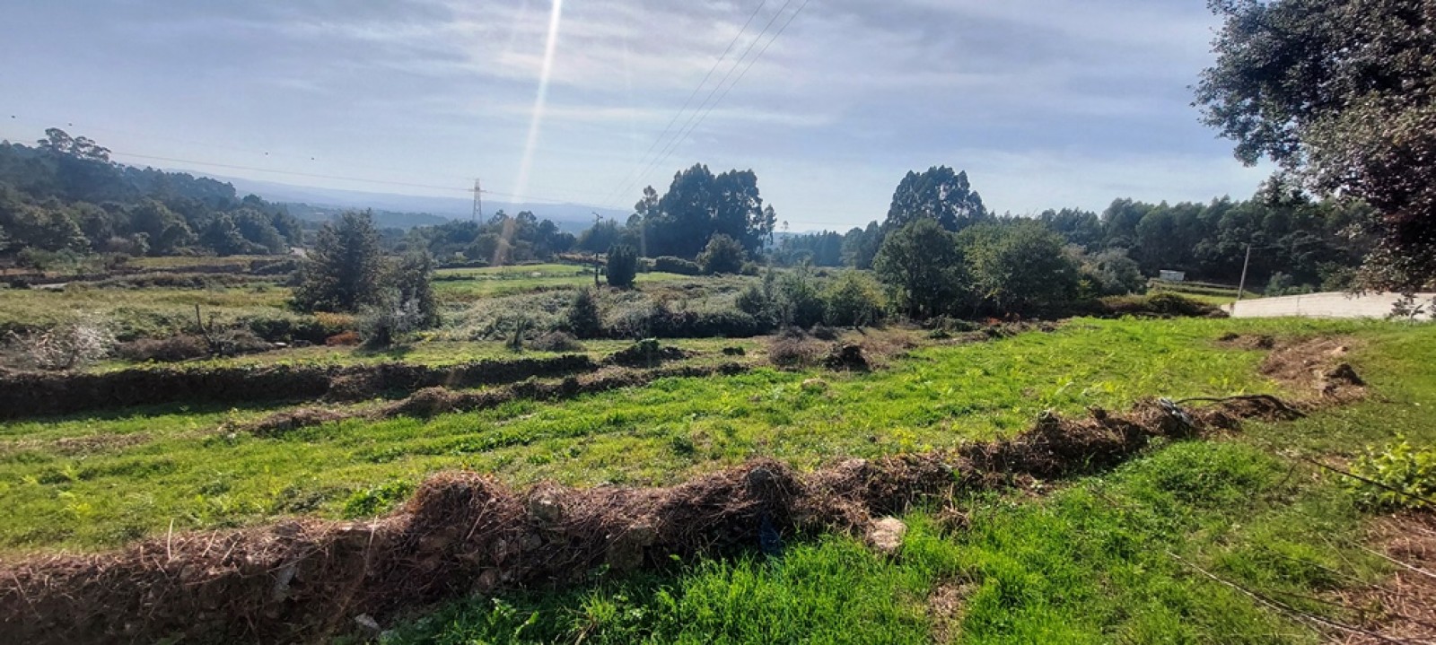 997d169a-8bc6-492d-a7f7-c6257baa89f1jpeg