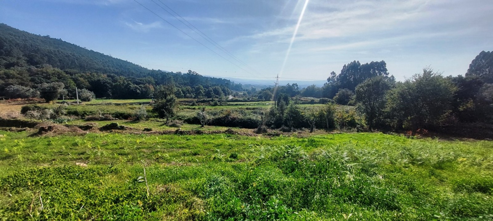 26106e49-7452-42a3-b7ec-4e38ef37ed28jpeg