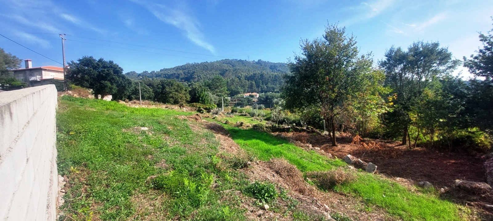 1622837f-088b-45f0-9325-3e8430563cb8jpeg