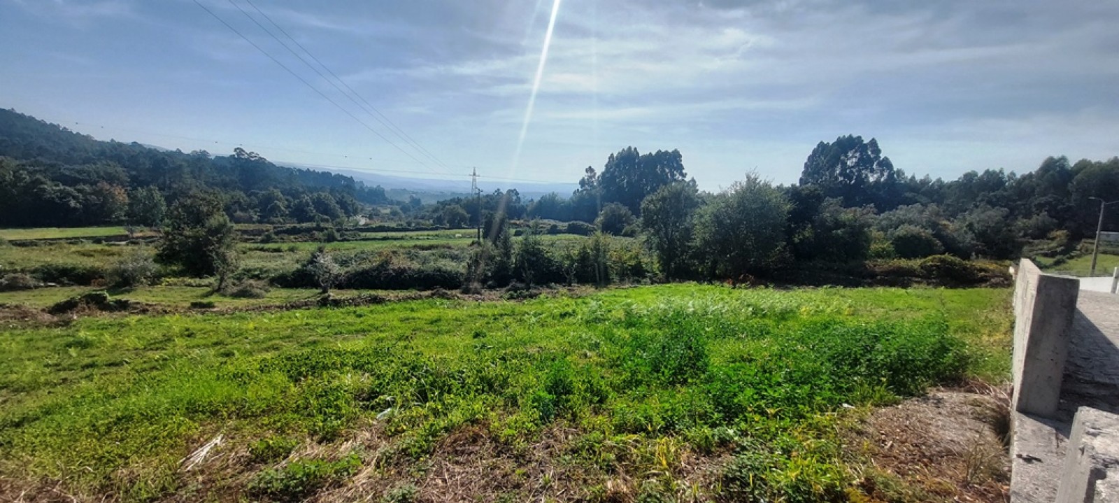 8984e4a9-f107-4892-aa19-c0c0a5108d91jpeg