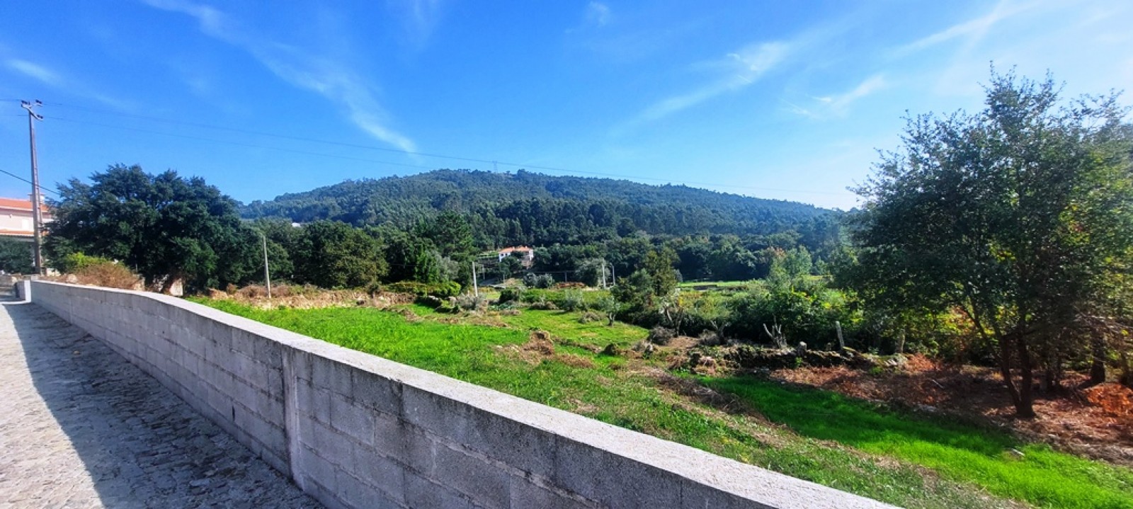 60162991-54f3-4975-be4a-ff6f417f78c3jpeg