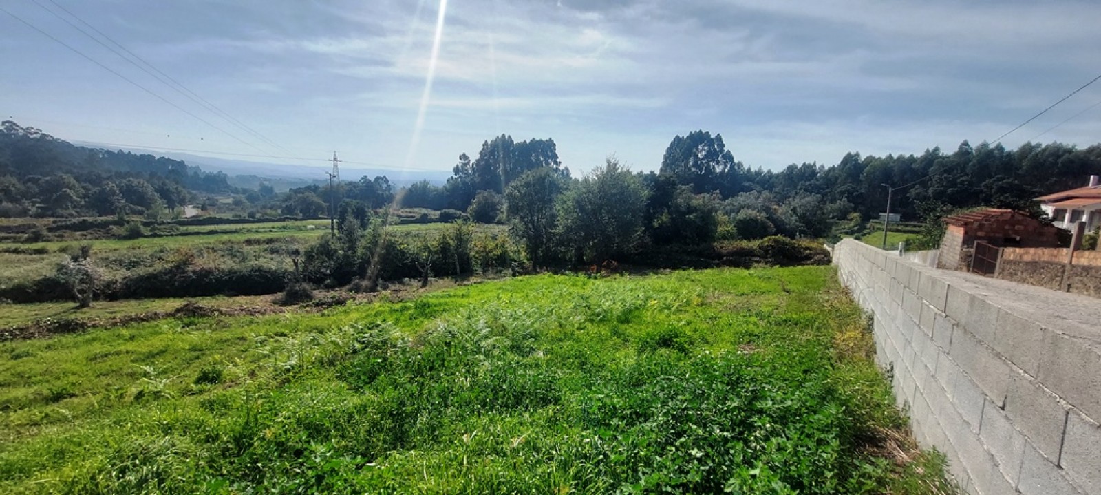 c5624634-fc0b-439b-a060-e78e17e0e881jpeg