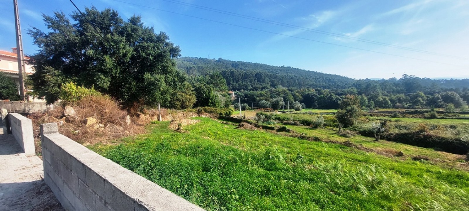 ba239347-6d3d-4cf8-b8df-901658509b7cjpeg