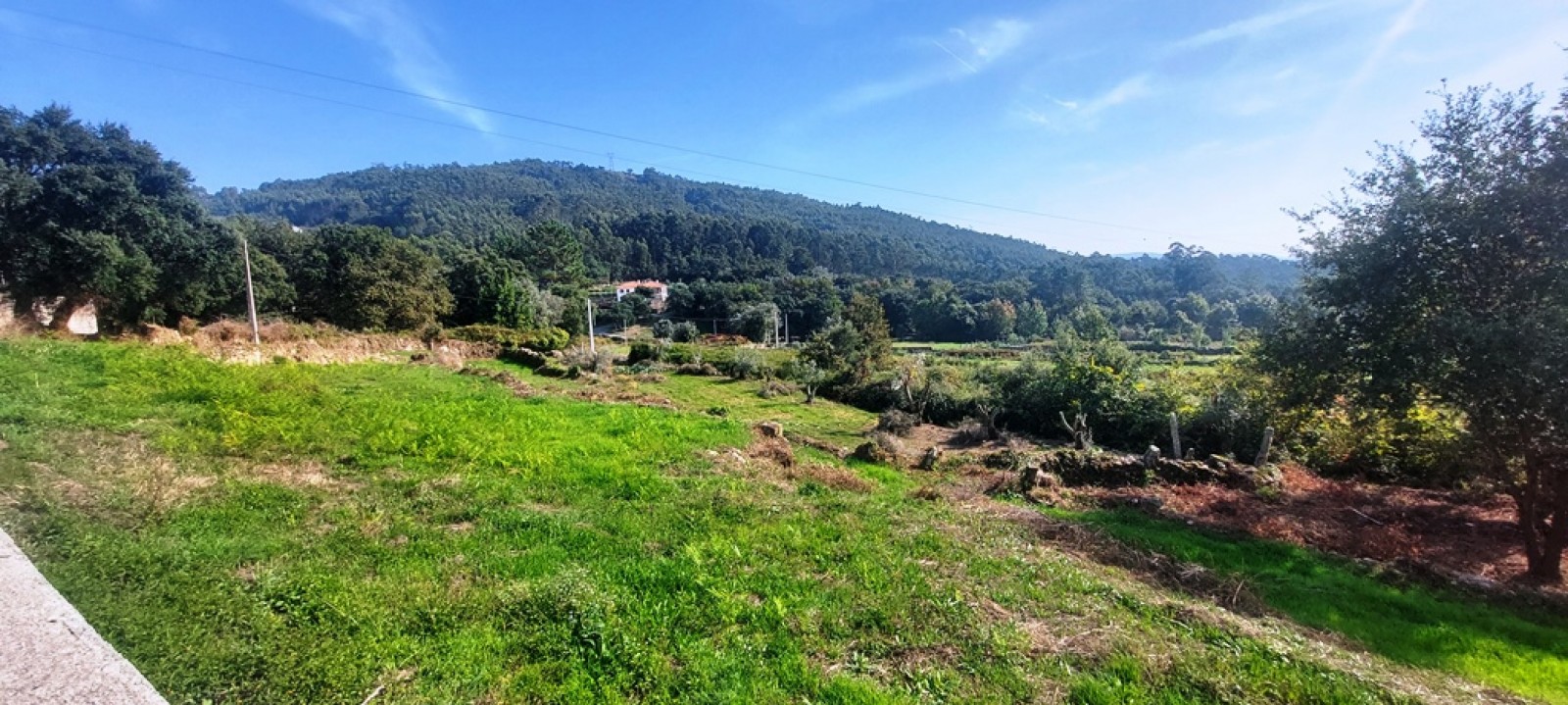 e3b09b04-f781-49c0-89ff-cc7187fcf282jpeg