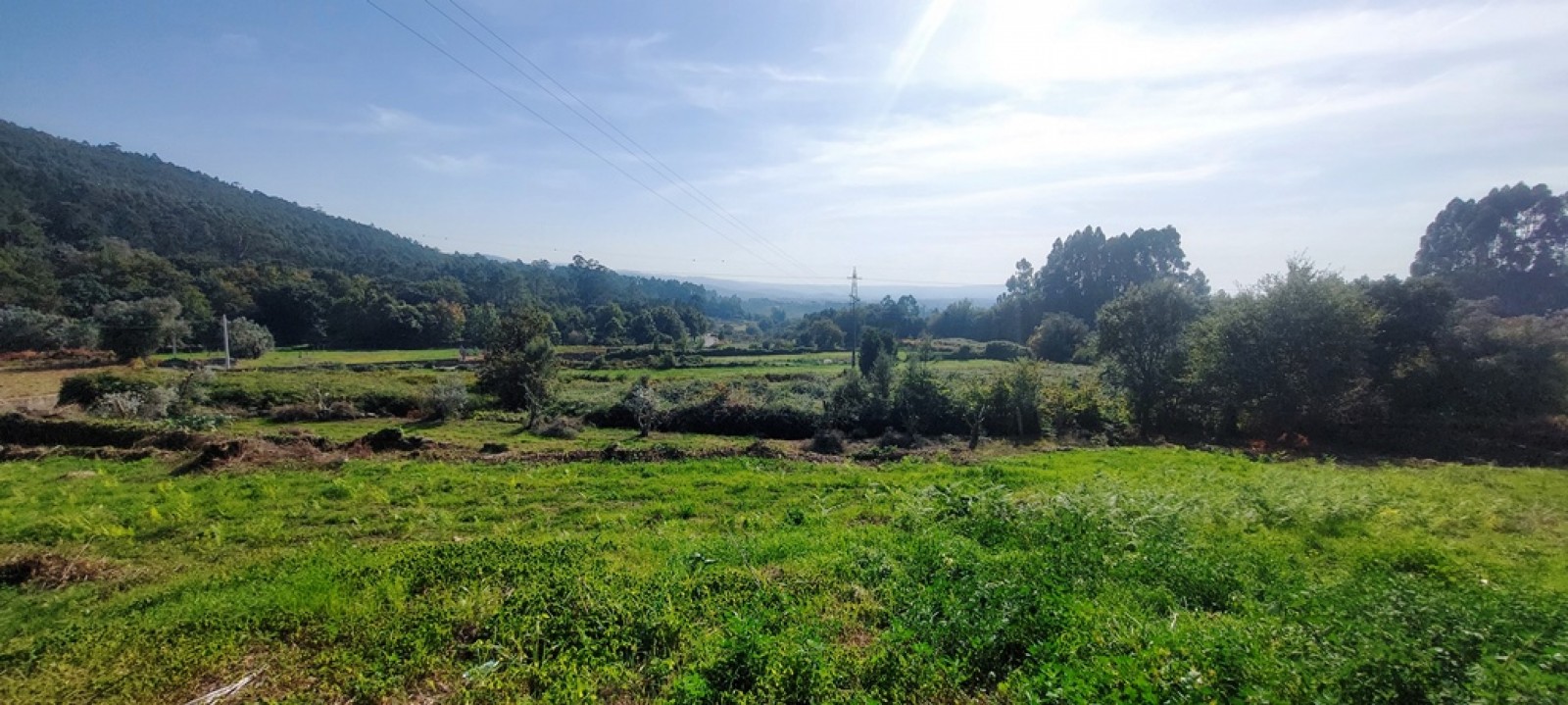 2ddadefe-4e69-4cb0-af45-ed081c278035jpeg