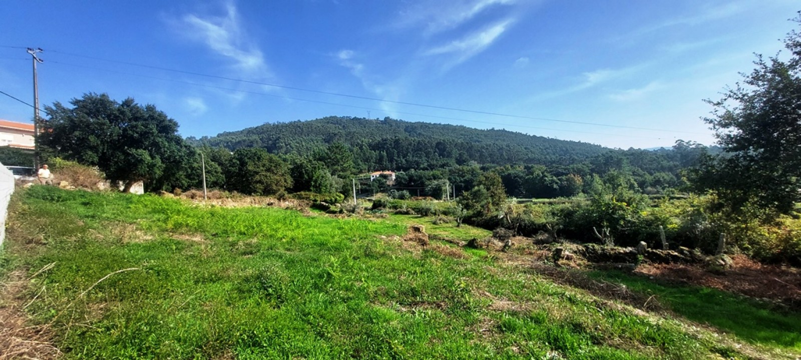 13b85063-c0b1-4527-ad2f-2b9ccc9a69f2jpeg