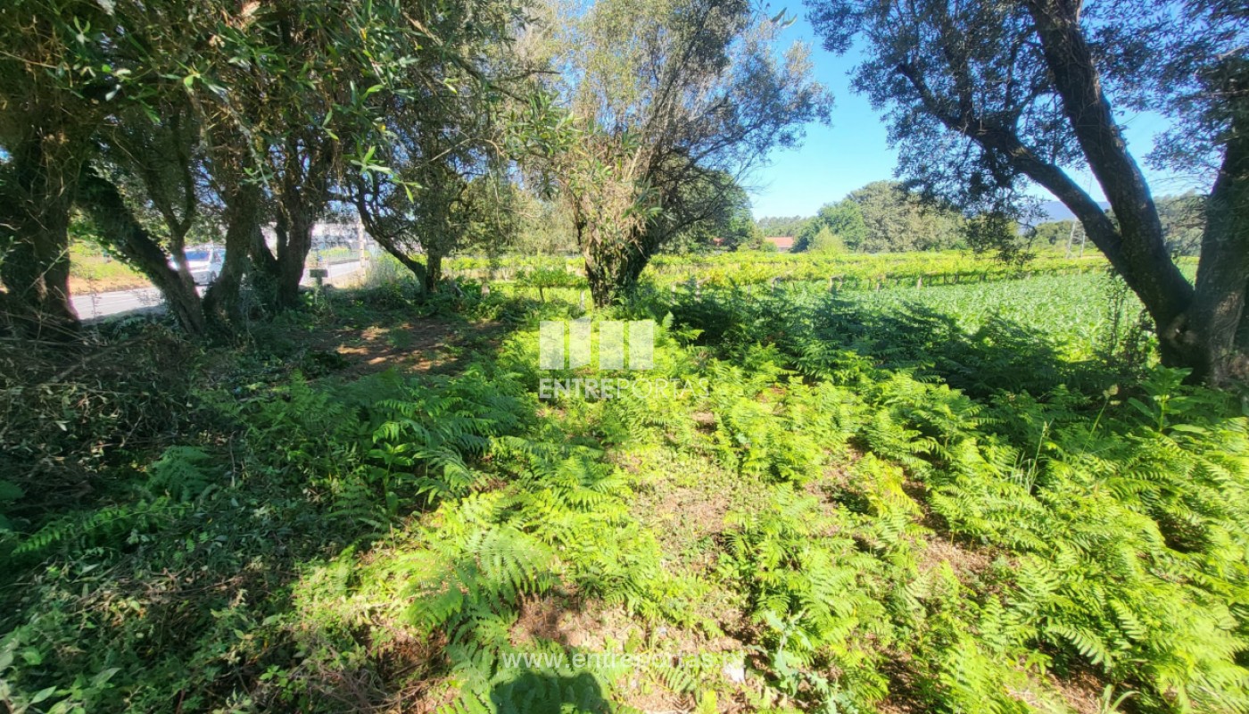 House in Vila Fria - view 1