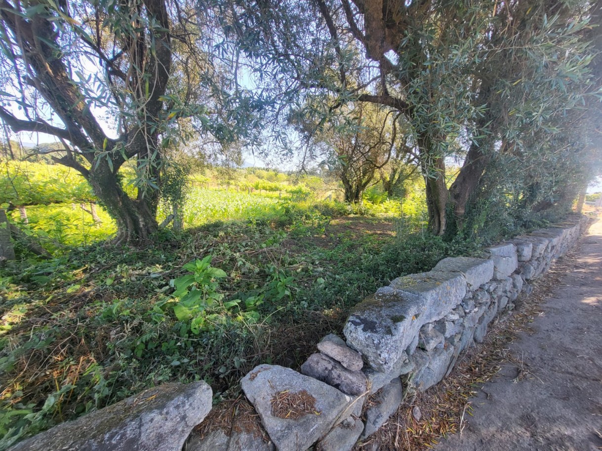 whatsapp-image-2025-10-22-at-163358-1jpeg