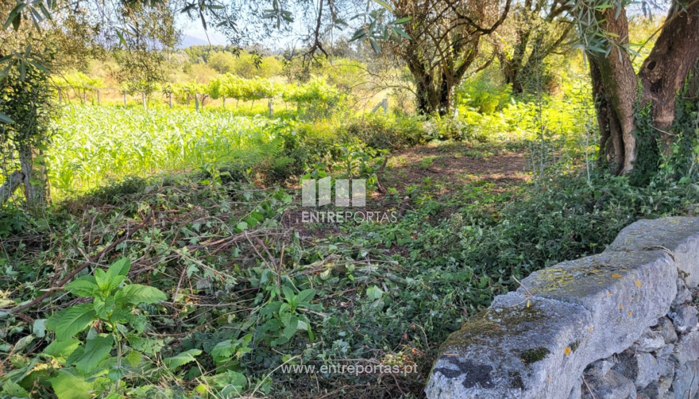 House in Vila Fria - Image 5