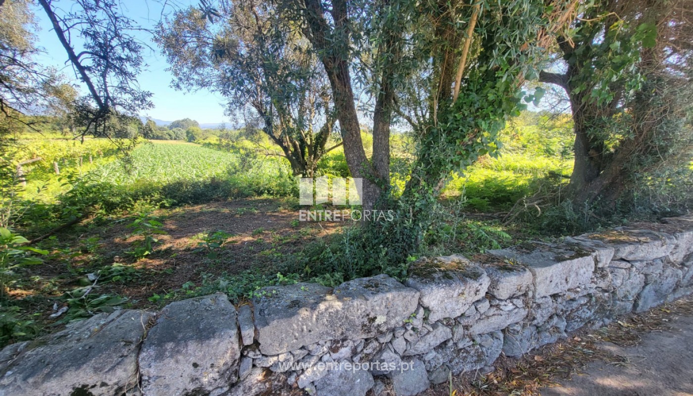 House in Vila Fria - Image 3