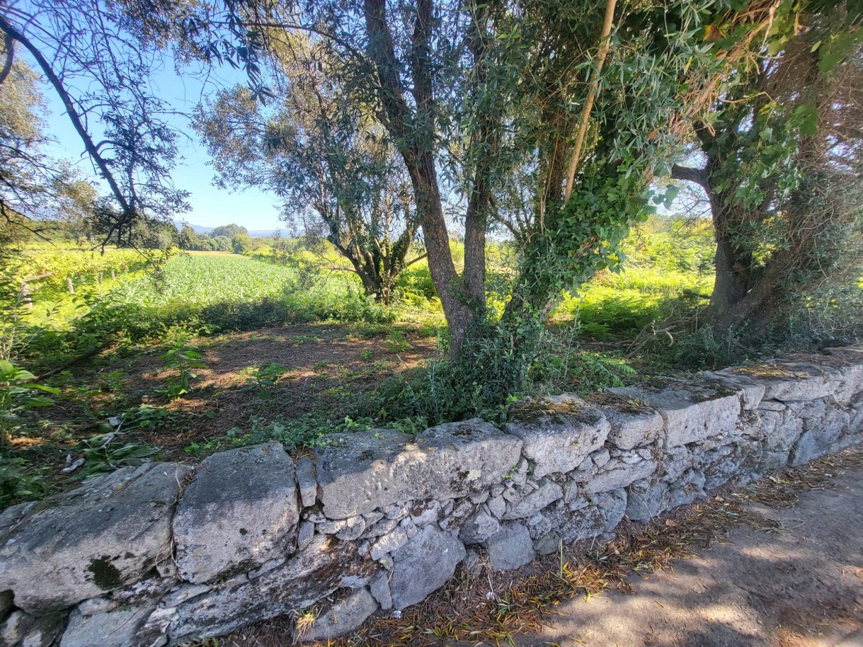 whatsapp-image-2025-10-22-at-163358jpeg