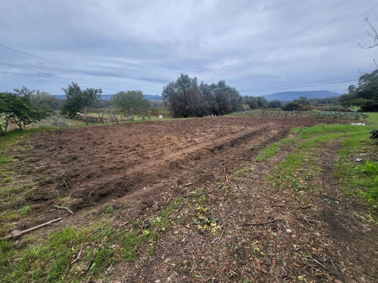 6f415271-97a1-4821-acea-ade78aa37f3bjpeg