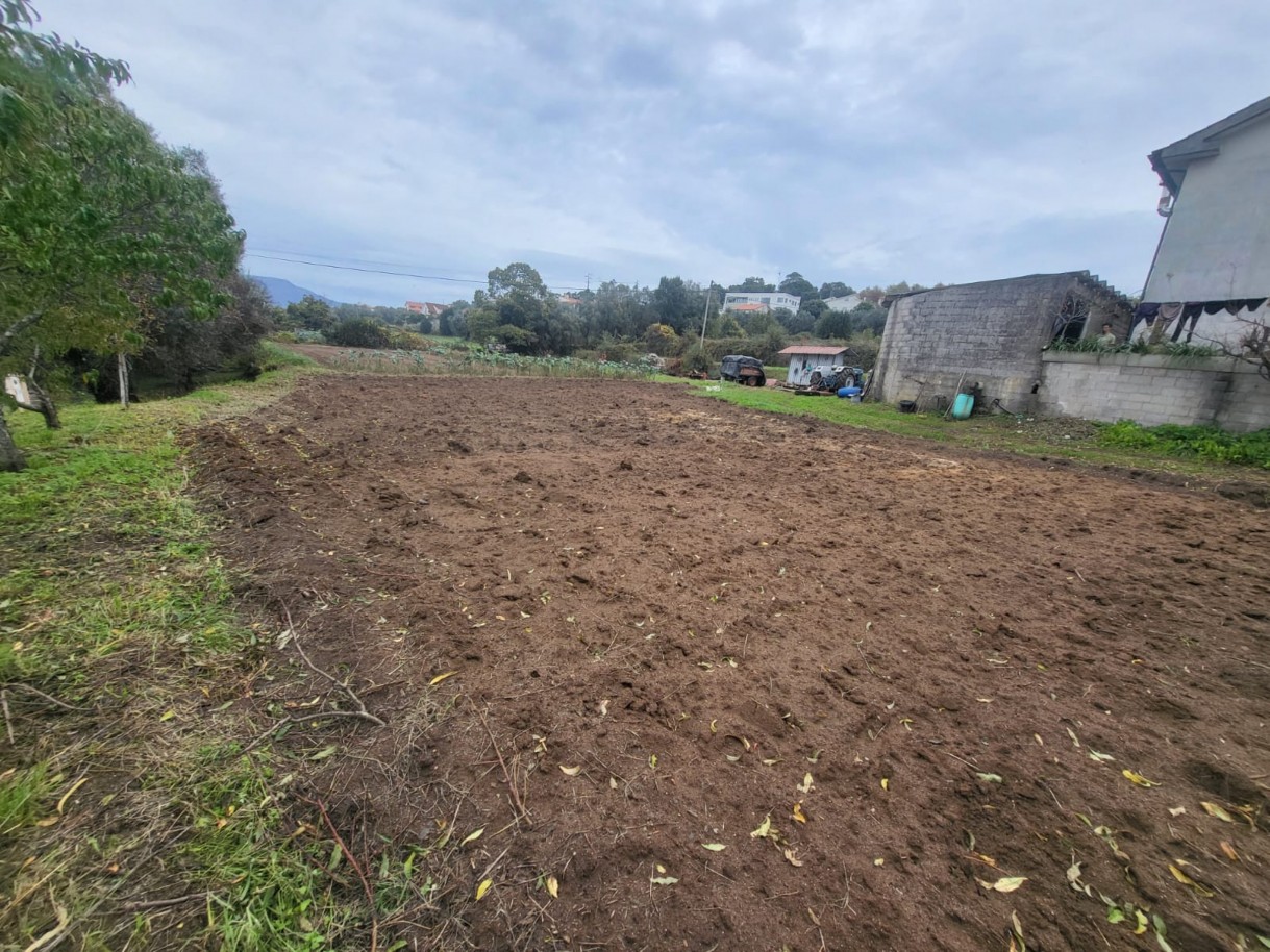 25a3d6bb-ae41-419c-80f7-56f4adc5a86bjpeg