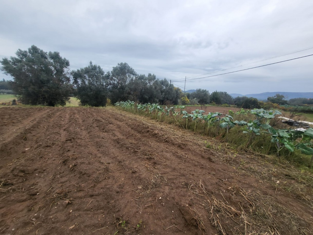 1ebbb207-5301-4eac-aa14-846bdd82f1ccjpeg