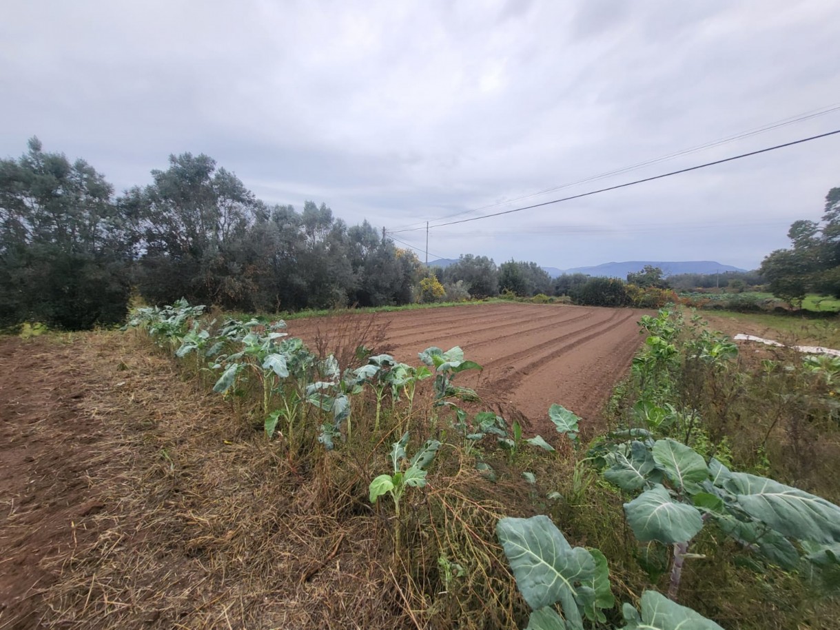 15ec912e-04c1-4e96-992a-f6bad6cf680ajpeg