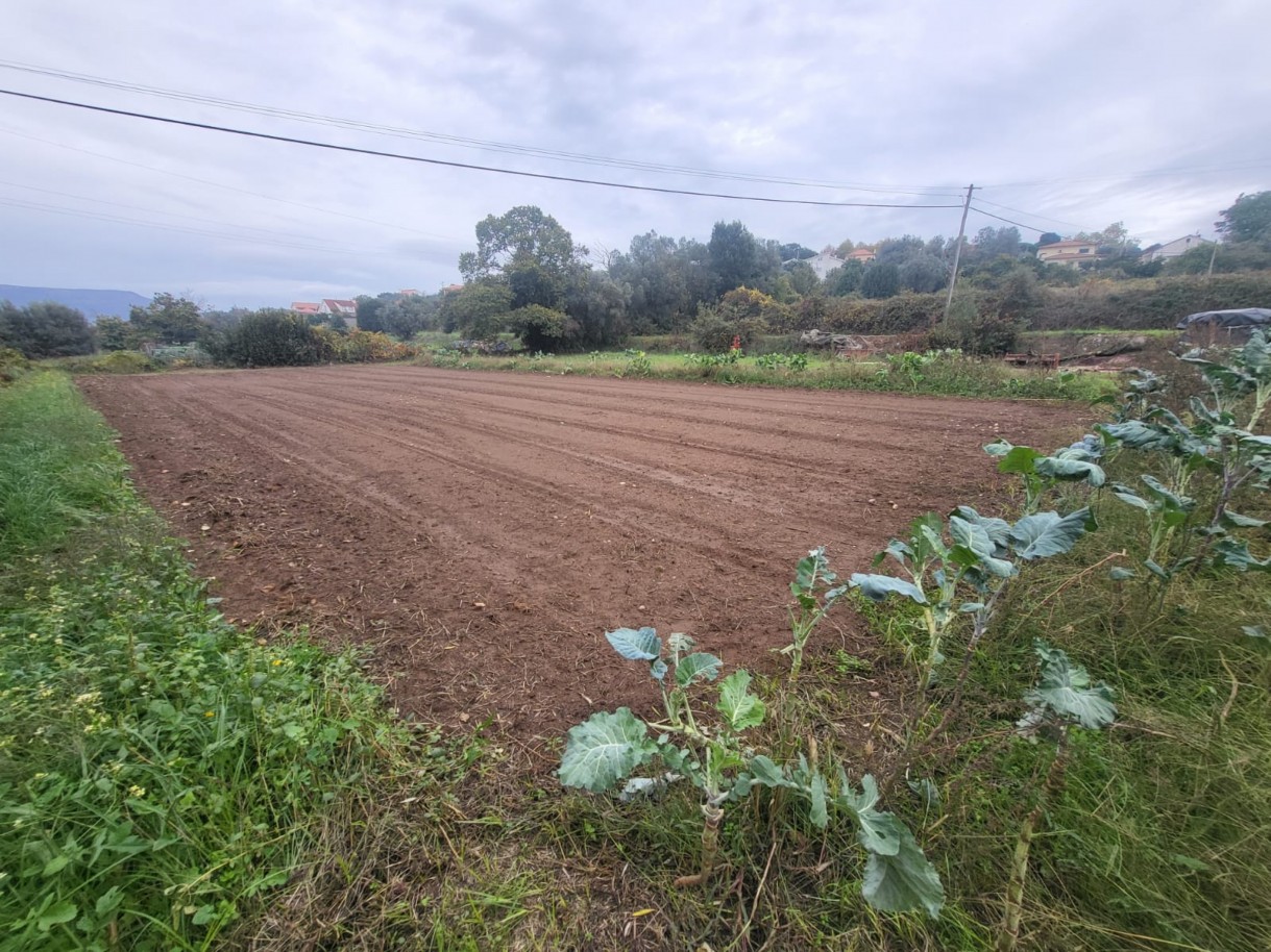 6654fc1c-cd9b-452c-9e6c-95f653a0f615jpeg