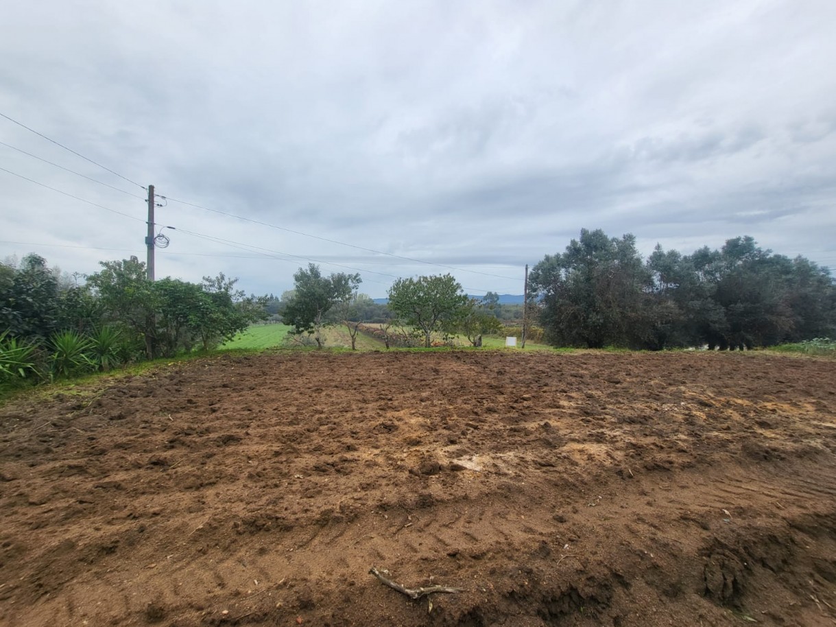 73ab7c06-c211-47d5-9bb8-d166a5ed6c3ejpeg