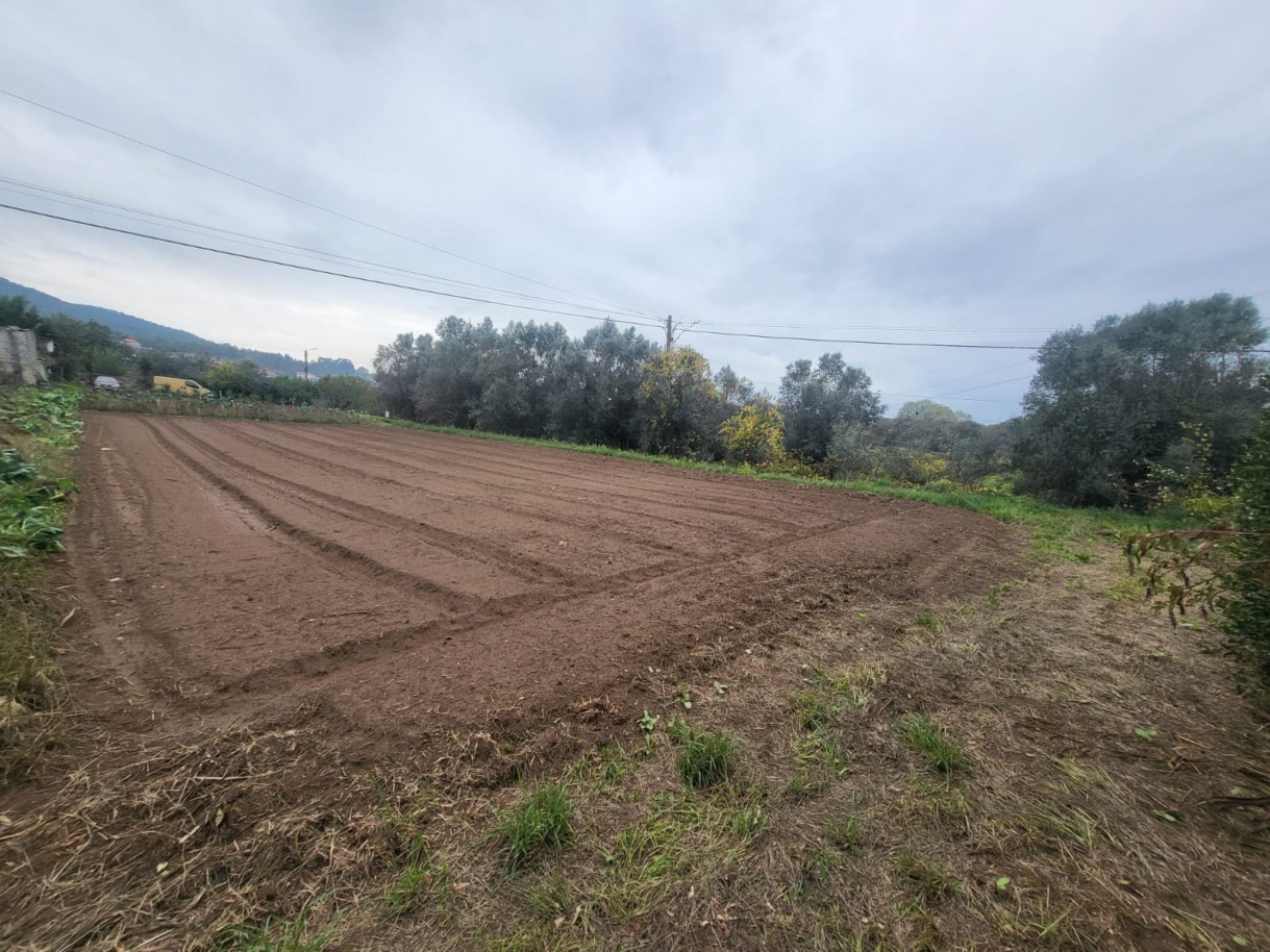 cac1f926-e576-461d-bbd9-27fd261fa239jpeg