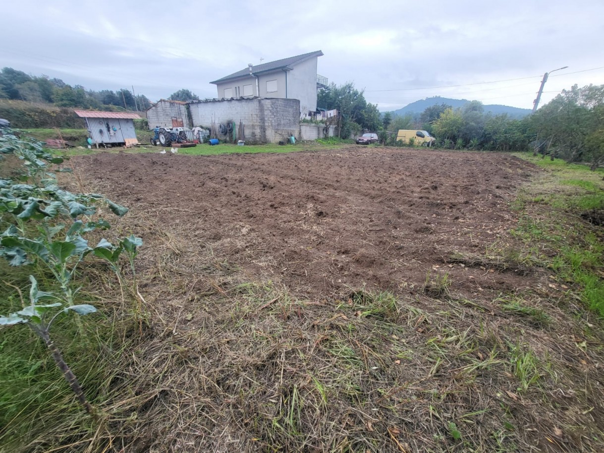 cbad185c-665d-4b3a-8763-cf9f0e9c861ajpeg