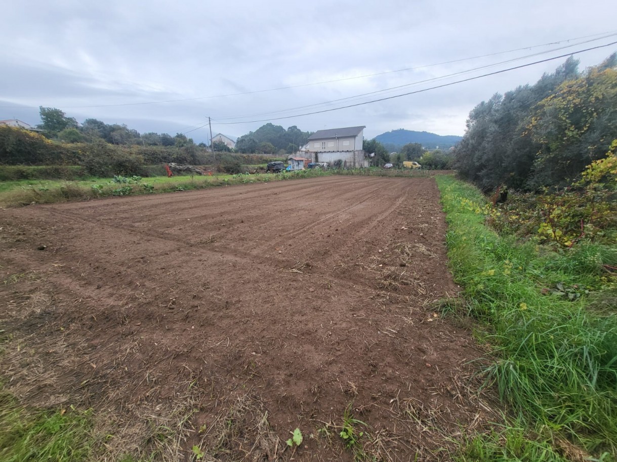 cf775974-5fb5-4542-b8eb-e338dfbc1371jpeg