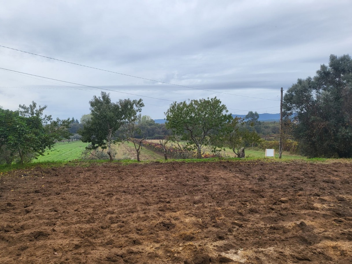 d16381af-8357-4ed9-a7e1-c0f76ea5b4d5jpeg