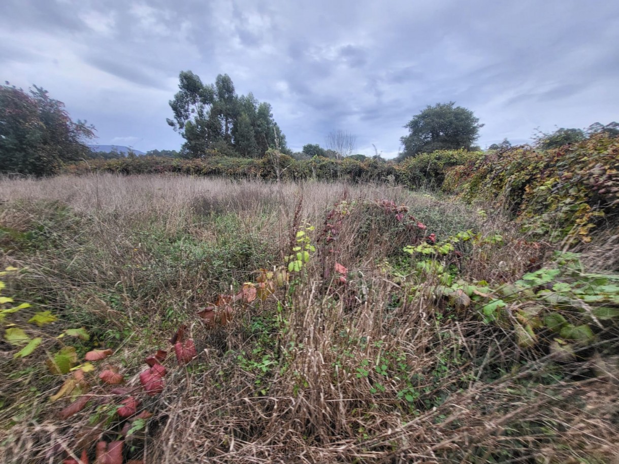 48b05fef-6b4c-4429-994e-be637b6fc904jpeg