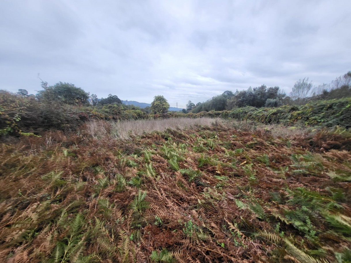 59c62f92-b206-4dc3-9f26-7342e5ed482djpeg