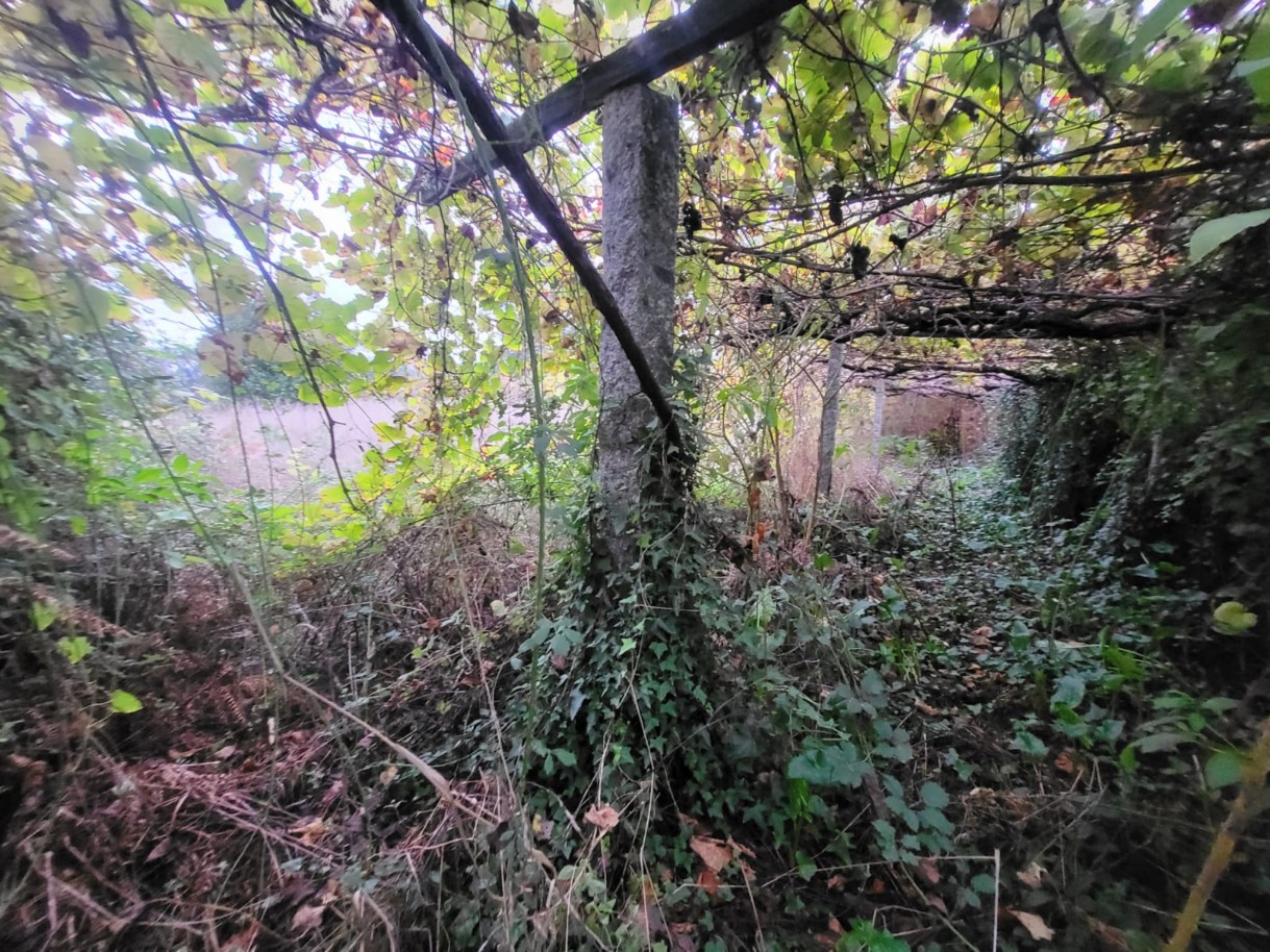 26d4c42e-151d-44b5-9457-f0a5a78f7cf7jpeg