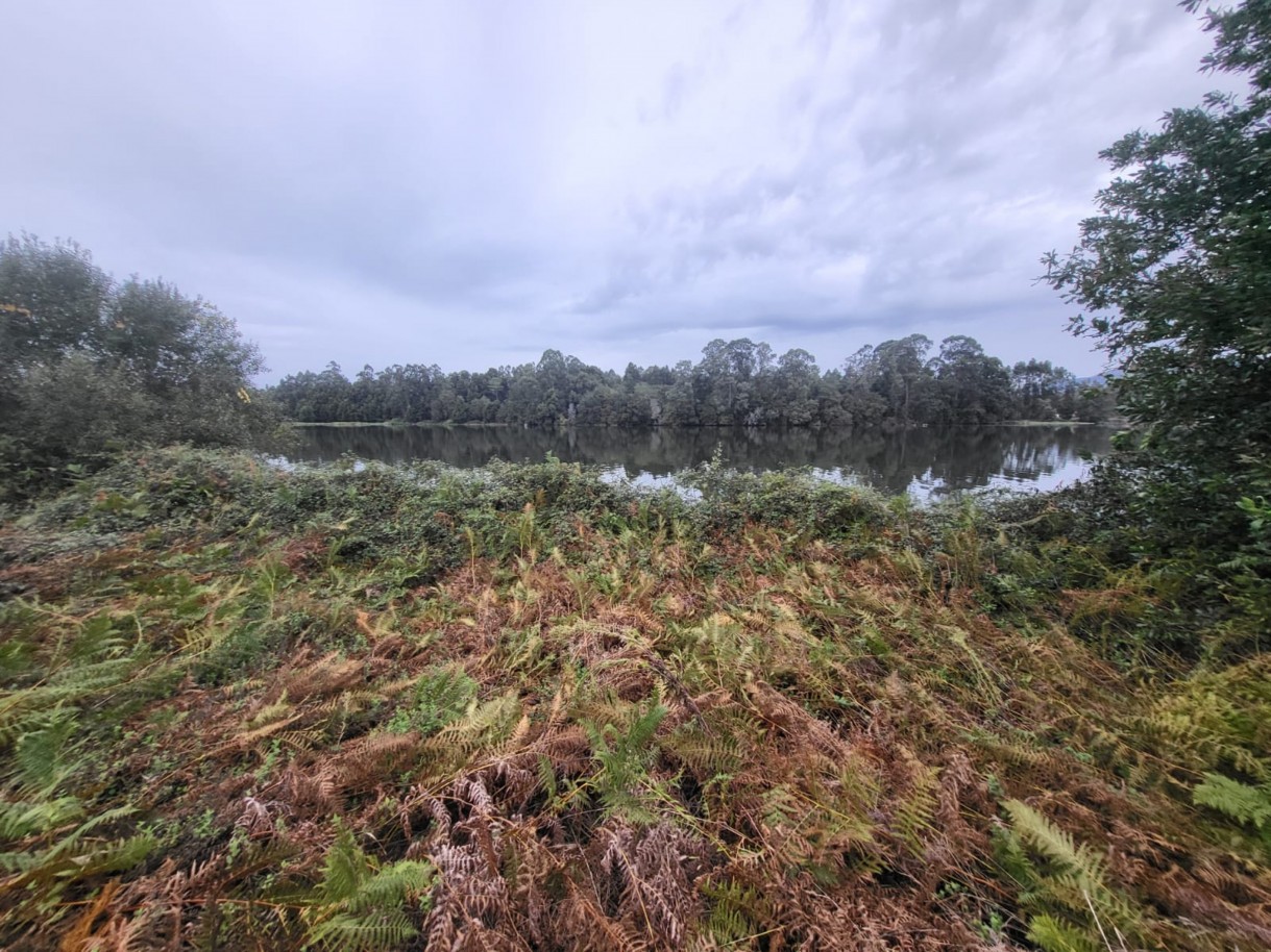 53ed8557-309b-4243-9a07-275fe4ddbabcjpeg