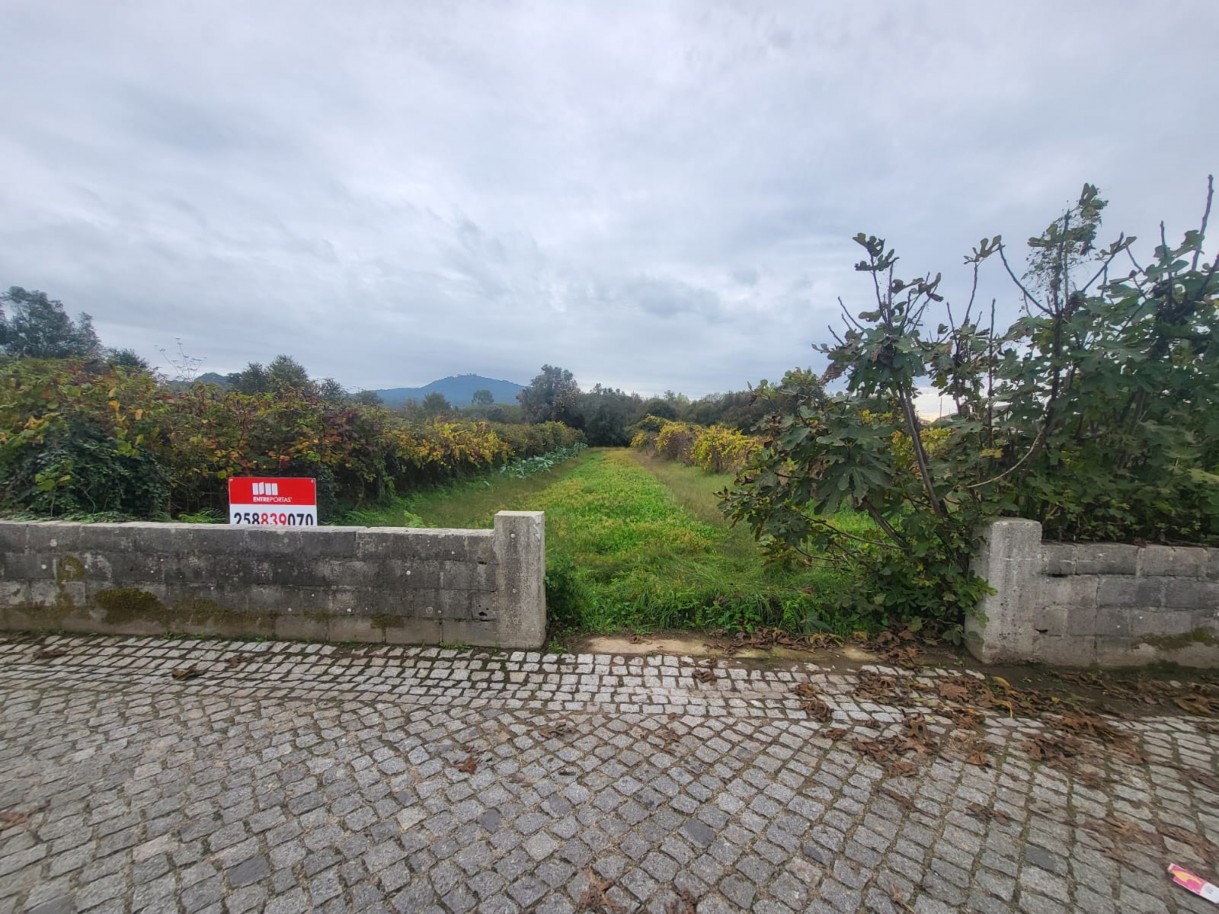 af9ca946-693d-4670-882b-7b385a44514djpeg