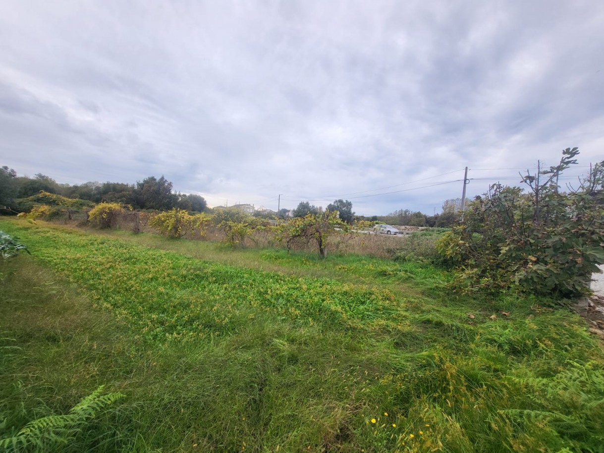 3cf535d1-38fa-41f9-98ea-486faeee3e51jpeg