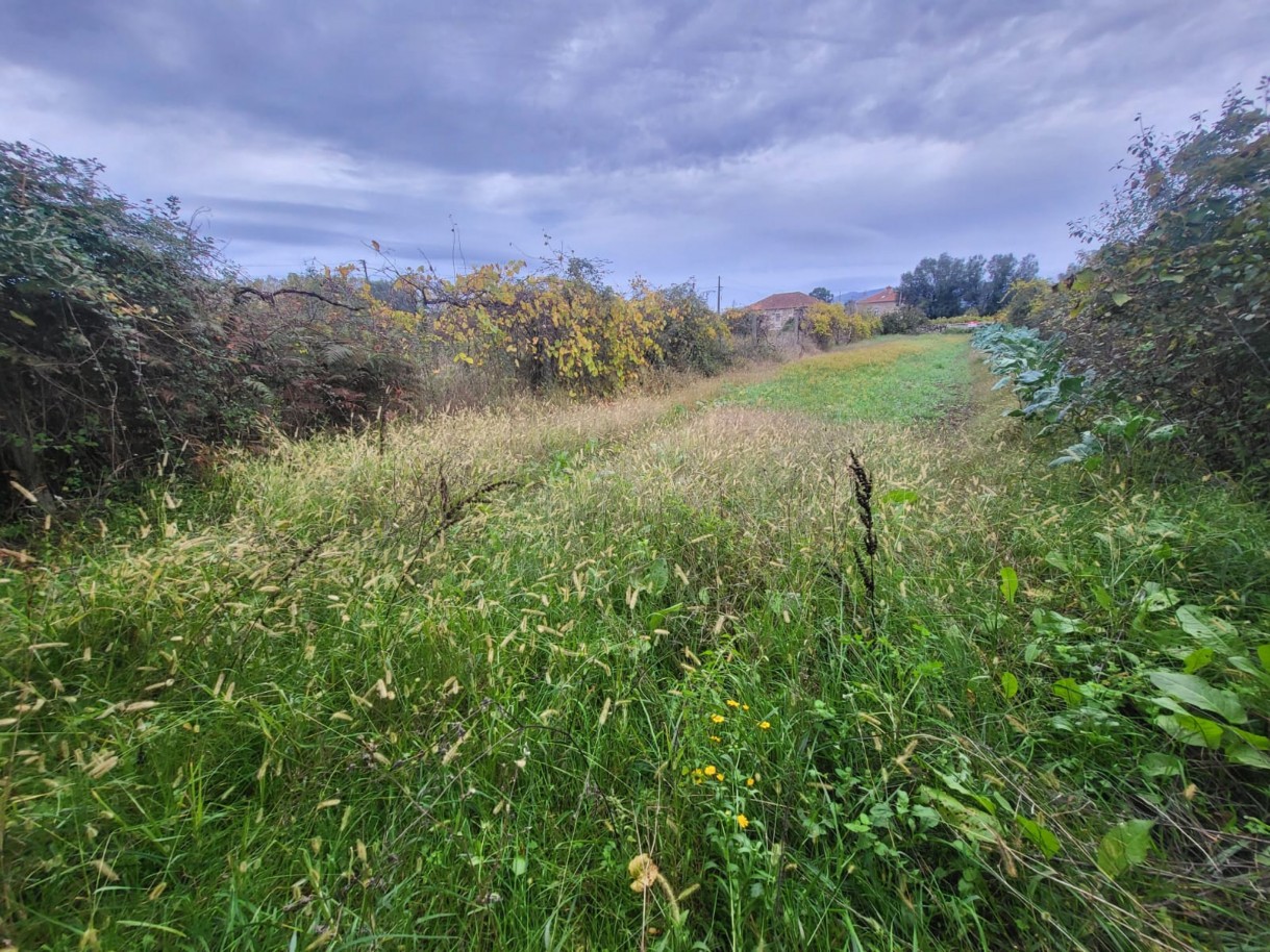 49b12a5d-ffd1-44df-945d-835dcab7cee9jpeg