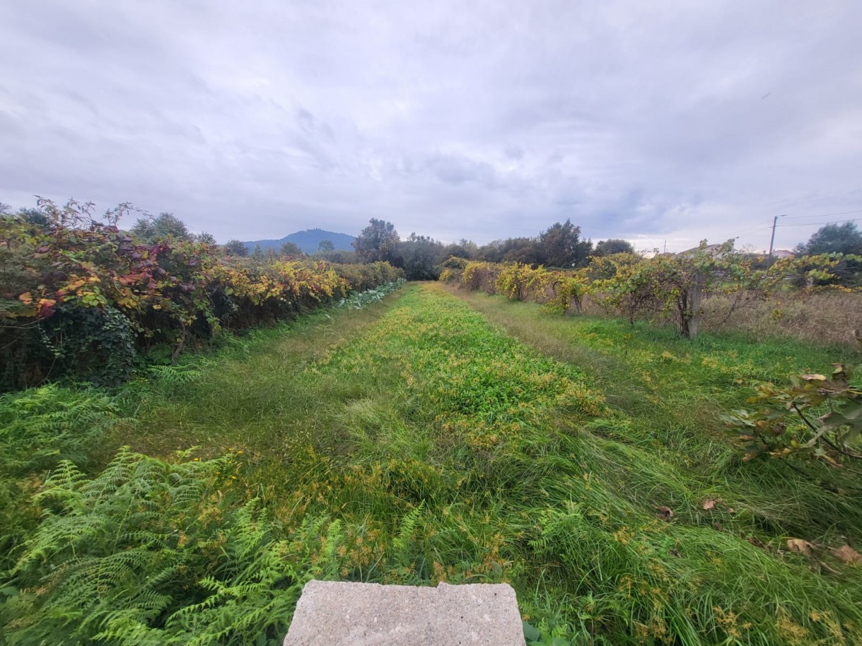 c5061aa1-1229-4ccd-964f-3f440c02a938jpeg