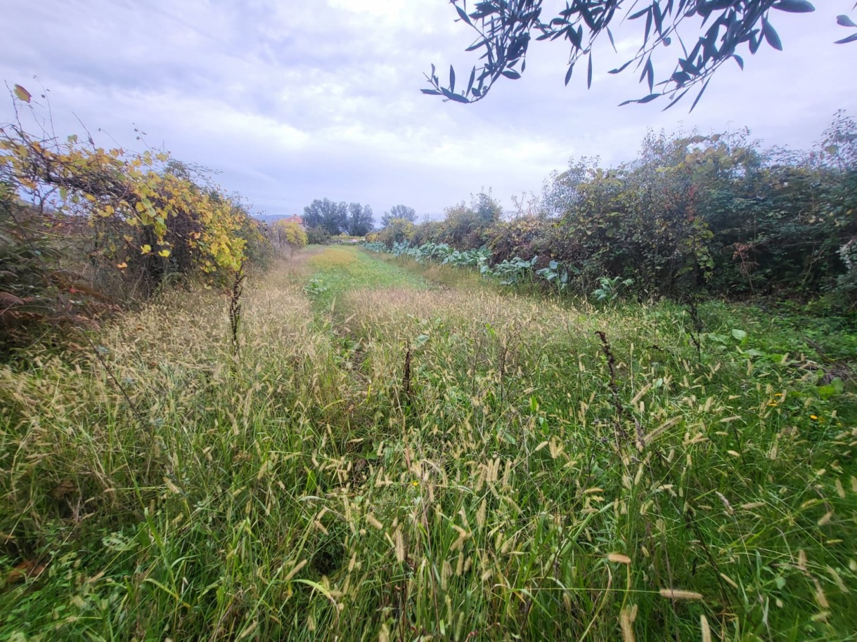 8c86f05a-59e8-4c13-8b7e-e172c44d6032jpeg