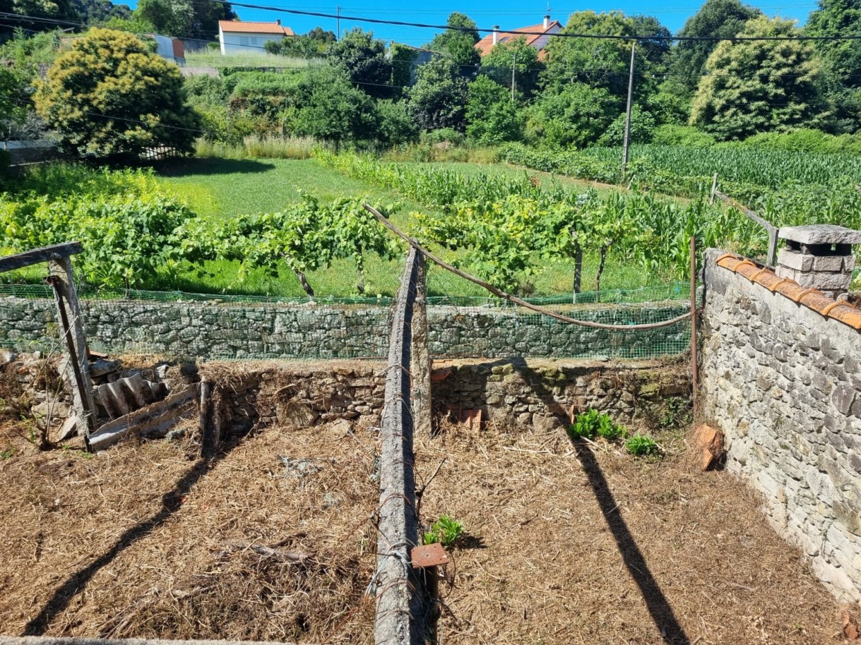 whatsapp-image-2025-10-29-at-165728-7jpeg